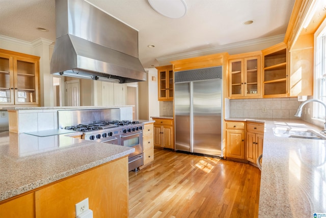 kitchen featuring light stone counters, premium appliances, extractor fan, and sink