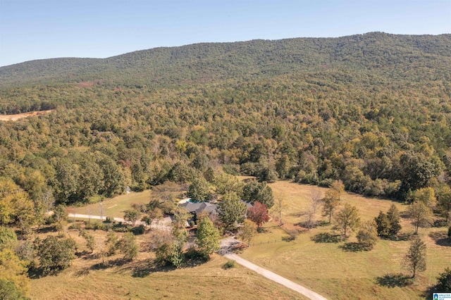 bird's eye view with a mountain view