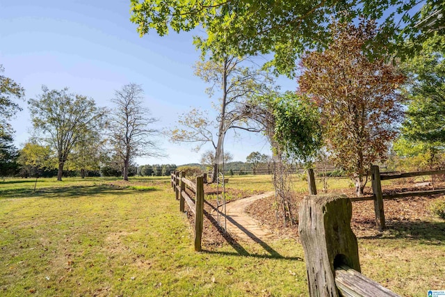 view of yard with a rural view