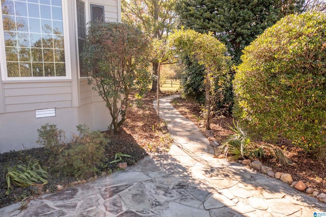 view of yard featuring a patio