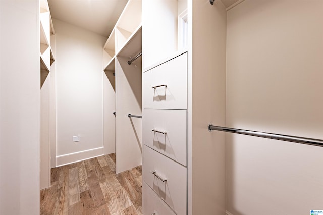 walk in closet with light wood-type flooring