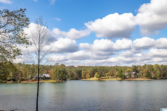 property view of water