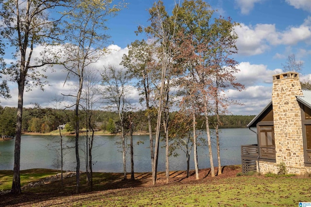 property view of water