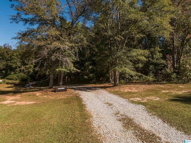 431 County Road 30 Unit 431, Roanoke AL, 36274 land for sale