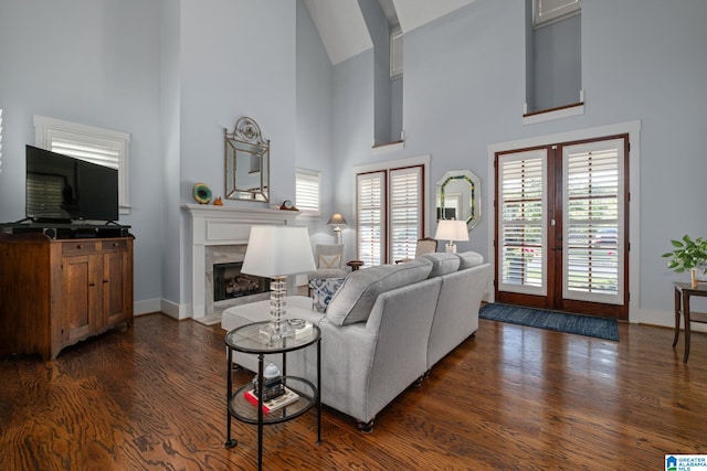 living room featuring a high ceiling, a fireplace, and dark hardwood / wood-style flooring