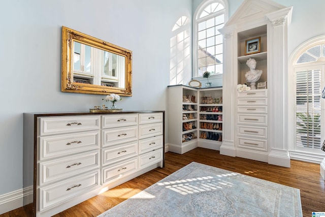 interior space featuring dark hardwood / wood-style floors and a wealth of natural light