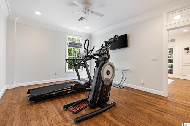 workout room featuring crown molding, wood-type flooring, and ceiling fan