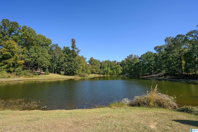 property view of water