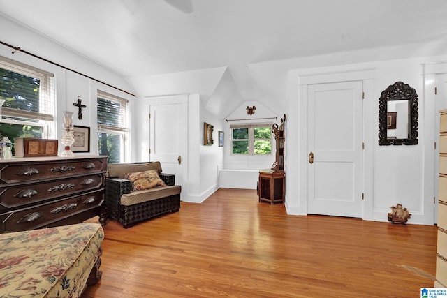 bedroom with light hardwood / wood-style floors and vaulted ceiling