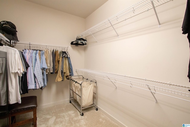 walk in closet with light carpet