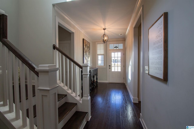 foyer with dark wood-type flooring, crown molding, and a chandelier