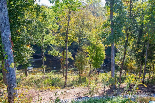 view of landscape