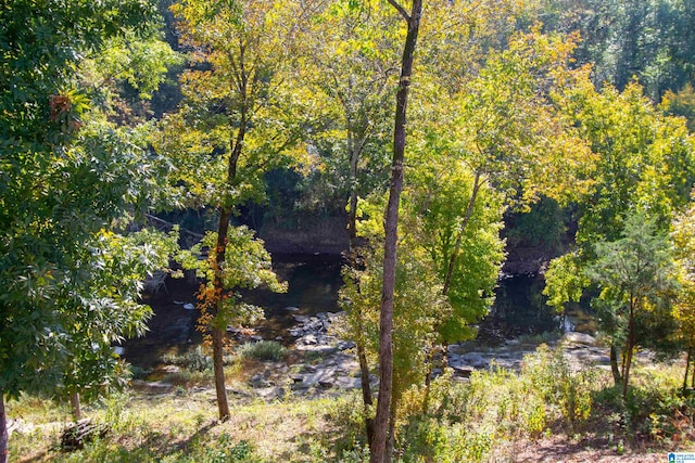 view of landscape