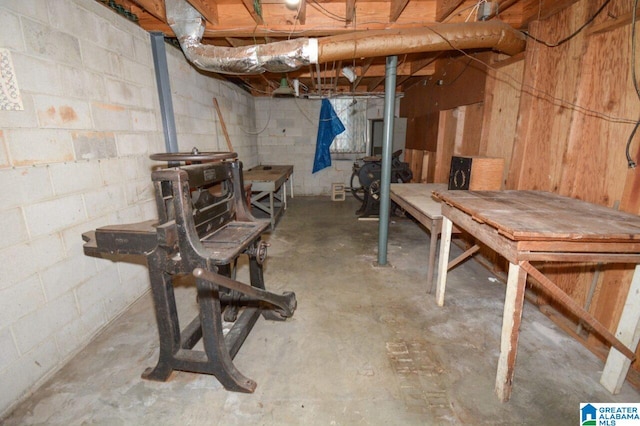unfinished below grade area featuring concrete block wall