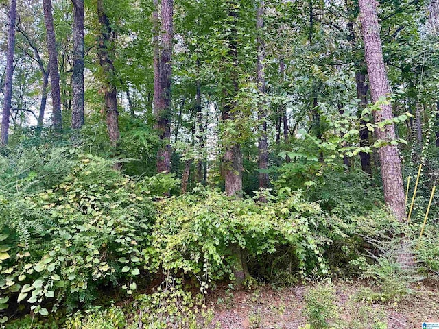 237 Sam Pate Dr Unit 0, Birmingham, AL 35215