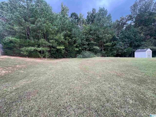 view of yard featuring a storage unit