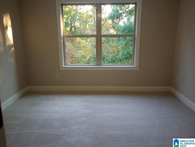 unfurnished room featuring a healthy amount of sunlight and carpet floors