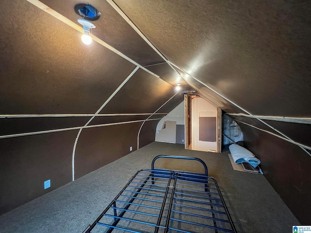 additional living space with carpet flooring, a textured ceiling, and vaulted ceiling