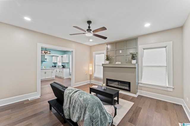 living room with ceiling fan and hardwood / wood-style floors