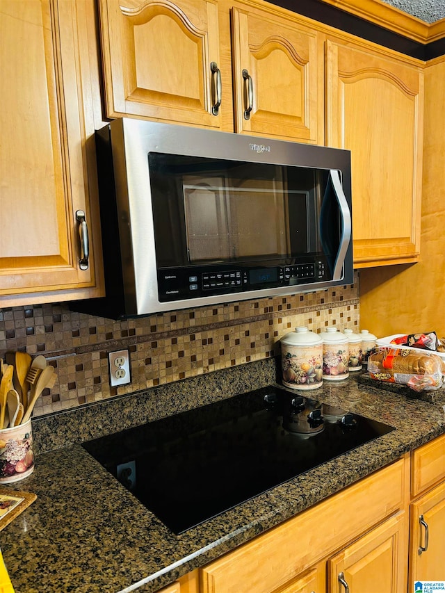 interior details with black electric stovetop and tasteful backsplash