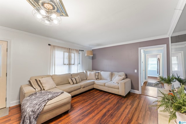 living room with ornamental molding and dark hardwood / wood-style floors