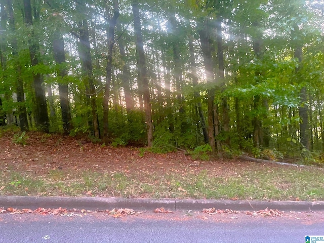 6760 Old Springville Rd Unit 1, Clay, AL 35126