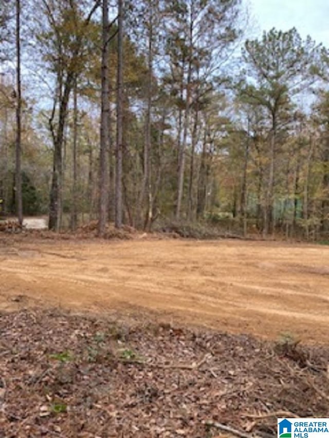 Listing photo 3 for LOT79 0 Pine Glen Rd Unit 79, Talladega AL 35160