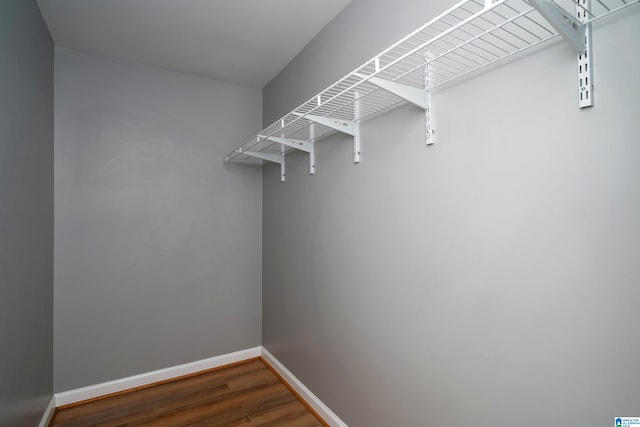 spacious closet featuring dark wood-type flooring