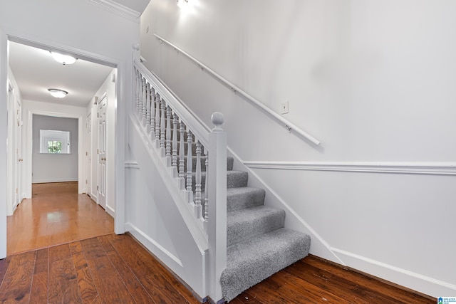 staircase with wood-type flooring