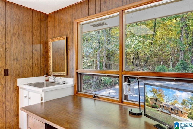 interior space with a wealth of natural light, sink, and wooden walls