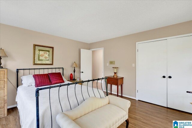 1215 Red Valley Rd, Remlap, AL 35133 - bedroom with wood finished floors, a closet, and baseboards