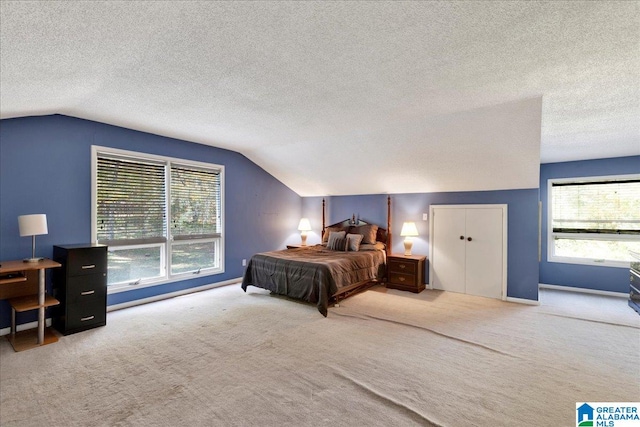 carpeted bedroom with lofted ceiling, a textured ceiling, and a closet