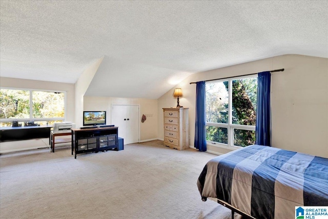 1215 Red Valley Rd, Remlap, AL 35133 - bedroom featuring lofted ceiling, a textured ceiling, multiple windows, and carpet flooring