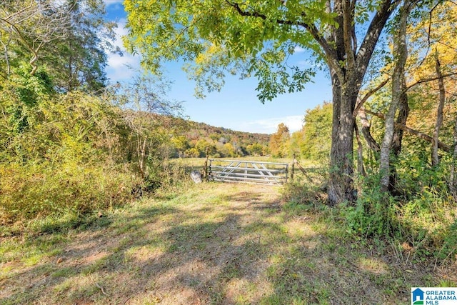1215 Red Valley Rd, Remlap, AL 35133 - view of yard with a view of trees