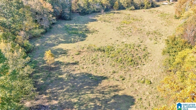 1215 Red Valley Rd, Remlap, AL 35133 - drone / aerial view