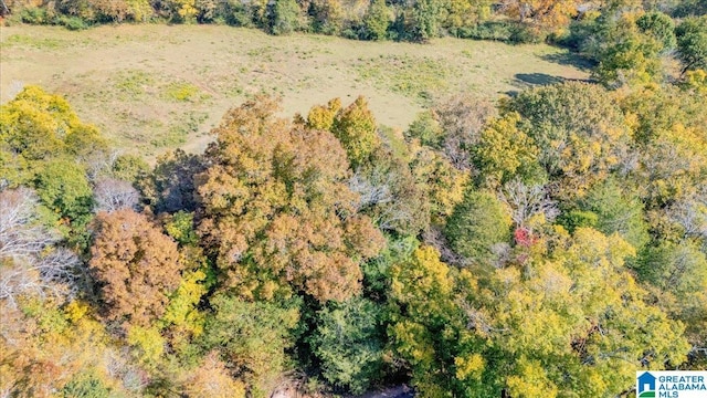 1215 Red Valley Rd, Remlap, AL 35133 - aerial view