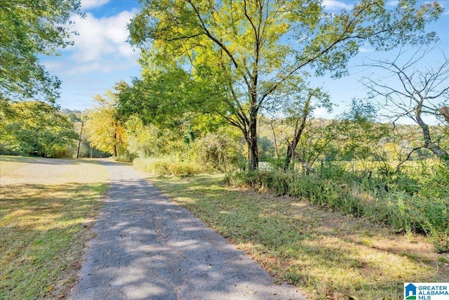 1215 Red Valley Rd, Remlap, AL 35133 - view of road with a wooded view