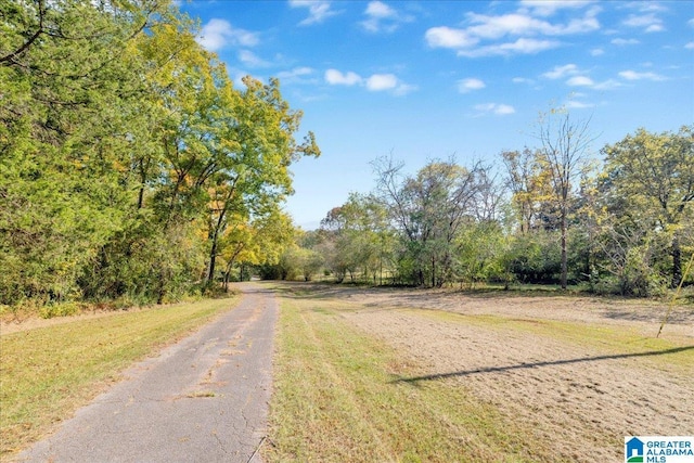 1215 Red Valley Rd, Remlap, AL 35133 - view of road with a wooded view