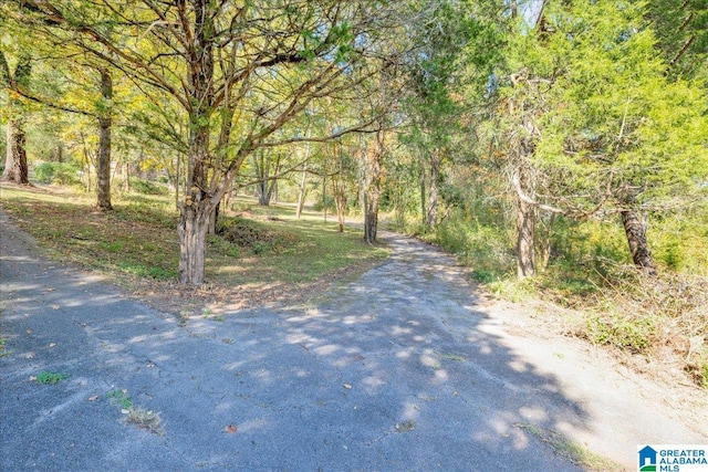 1215 Red Valley Rd, Remlap, AL 35133 - view of road featuring a forest view