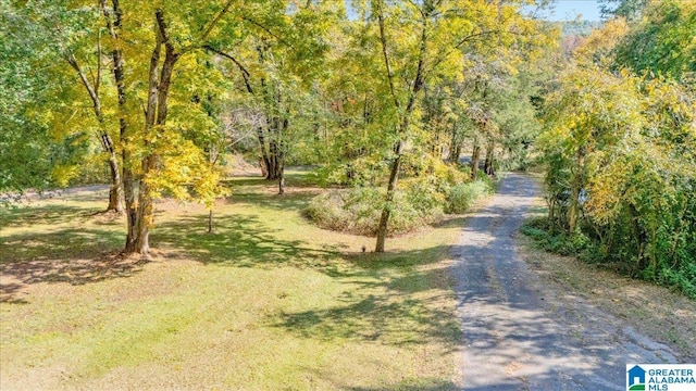 1215 Red Valley Rd, Remlap, AL 35133 - view of road featuring a view of trees