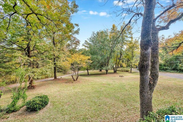 1215 Red Valley Rd, Remlap, AL 35133 - view of grassy yard
