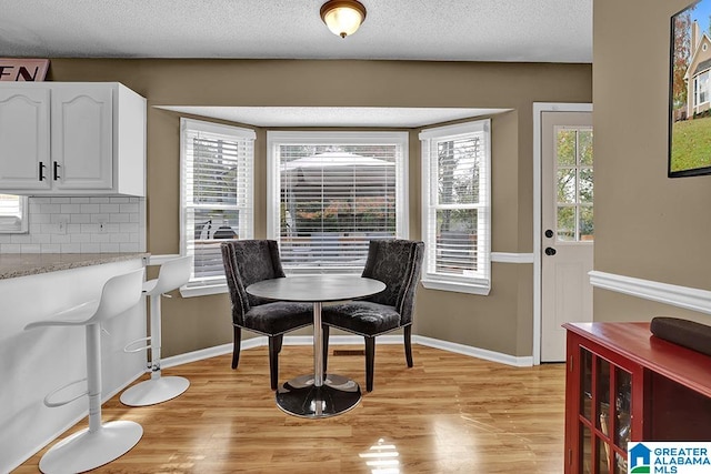 dining room featuring light hardwood / wood-style floors, a textured ceiling, and a healthy amount of sunlight