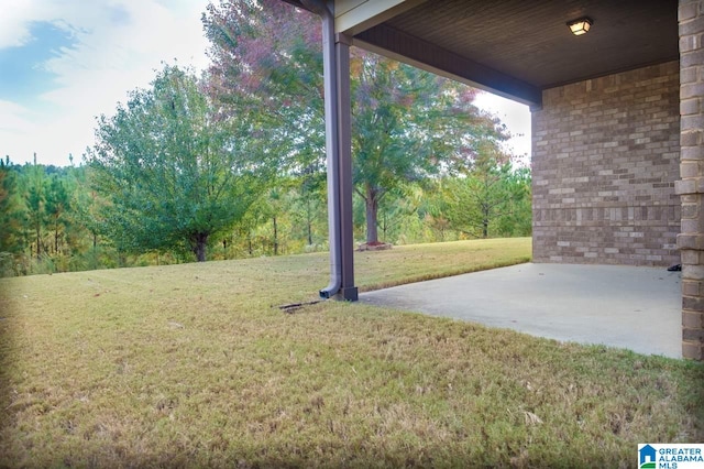 view of yard with a patio area