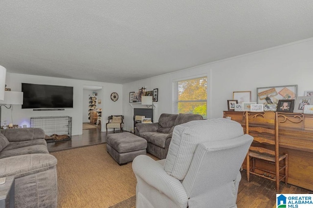 living room featuring a textured ceiling and dark hardwood / wood-style flooring