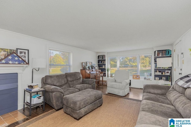 living room featuring hardwood / wood-style floors