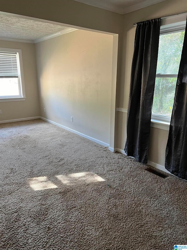 spare room featuring a wealth of natural light, carpet floors, and a textured ceiling