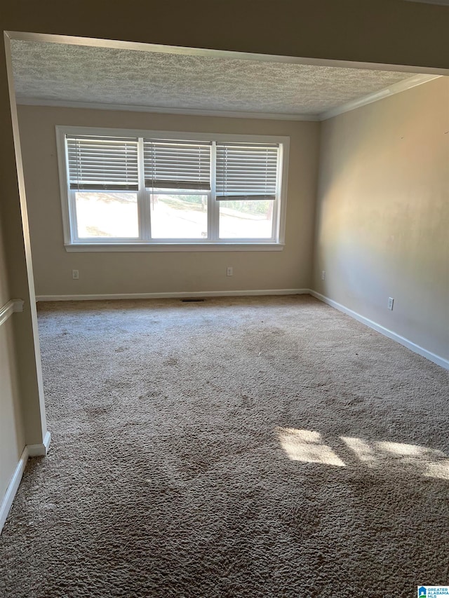 carpeted spare room with a textured ceiling