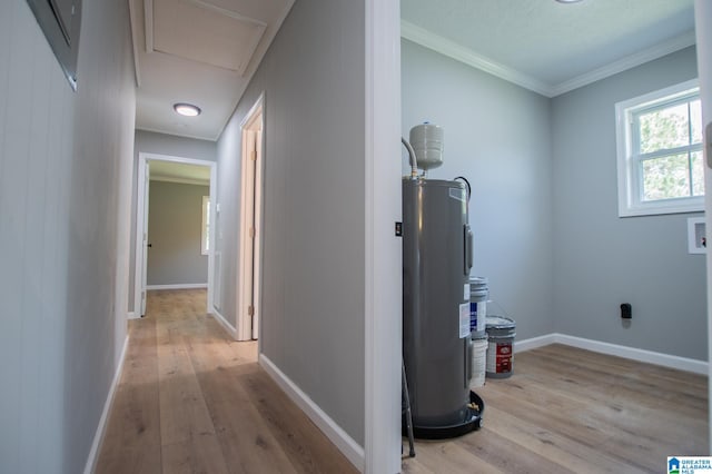 corridor with ornamental molding, water heater, and light hardwood / wood-style floors