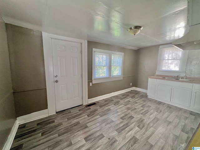 interior space featuring sink, light wood-type flooring, and plenty of natural light