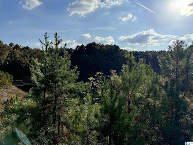 520 Highland Lakes Blvd Unit 7, Anniston, AL 36207